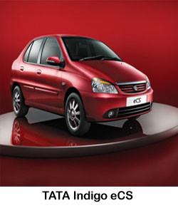 Our people are our greatest asset. Regular training and motivation programs for managers-fortunecars.com/about-us/