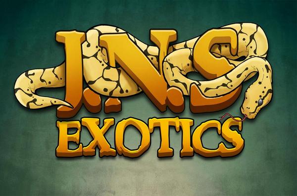 2ndbiteDraw's tweet image. A bumble bee morph!JNS logo for joe! Want some of this?? Check us out! 
#snake #reptiles #python #ballpython #herp