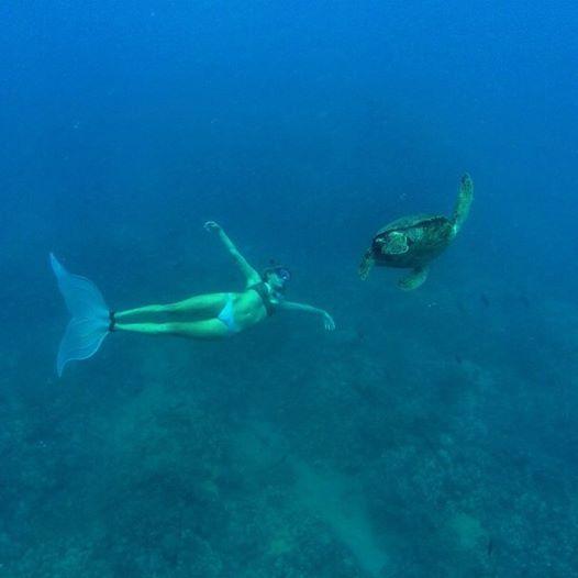 MerFinsUAE's tweet photo. Experience the #Magical #Journey of #TheLittleMermaid #UnderTheSea with #Mahina #MerFins Order http://t.co/CjA8Ua1sIS http://t.co/V3I8jXHbNL