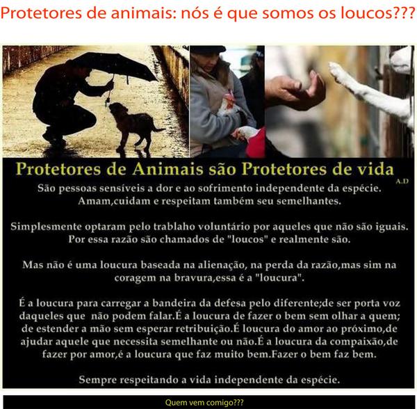 AcheiC's tweet image. Amigos quem me acompanha nas redes sociais, já deve ter ouvido o caso da Ana Karina facebook.com/acheicaesgatos…