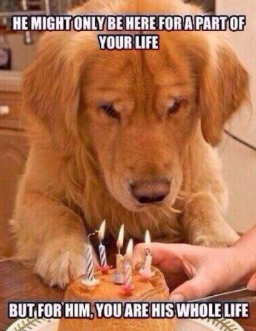 louisejumarani's tweet photo. Happy Birthday mba @AlberthieneE...ada gambar lucu nih http://t.co/erM80LgrRC