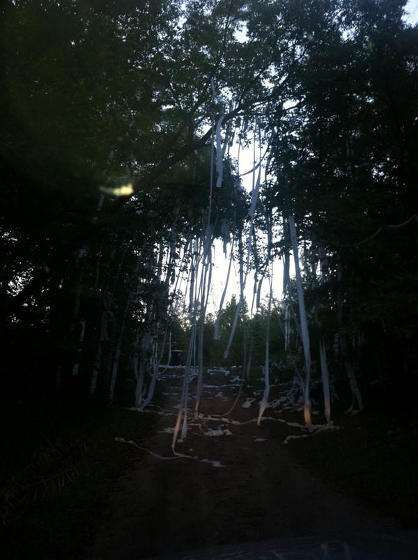 ERTPwar's tweet image. Not much but it's the thought that counts @hunterwesloh