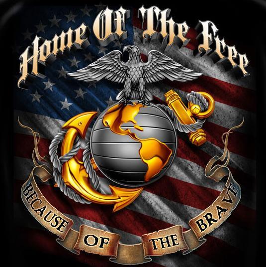 RSSStroudsburg's tweet photo. #home of the #free because of the #brave. #marines help #secure our #freedom with their job #pv #Nazareth #penargyl http://t.co/WoU9tJJmzp