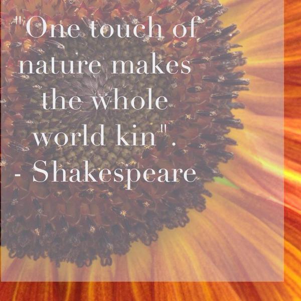 HealthMusing's tweet image. Gotta love this one. #quotes #nature #kinship #shakespeare #leafandardor #sparkaconnection #wisdom