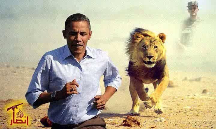 Bxp8H4hIEAAHckA.jpg:large