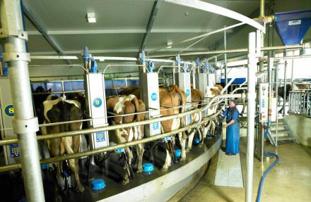 TopNewsChina's tweet photo. China to invest 2.7 bln USD in Australian dairy, beef, lamb, aquaculture http://t.co/8HjDGf2Oy3 http://t.co/B5FFKEmWRm
