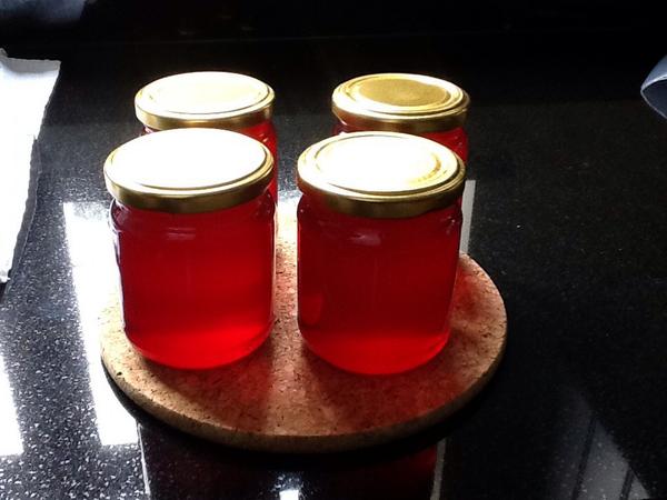 First grapes put to good use #grapejelly. Grt redcurrant substitute. #thegoodlife at #TheHouseOnTheHill