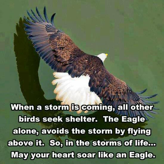 CCICYES's tweet photo. Amen http://t.co/8UZINX3z0s