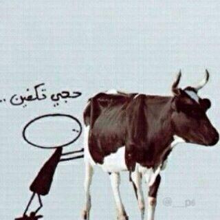 dode_501's tweet photo. -آحلامنا راحت و Ιﻟبقرهہ ﻋيت تحج "̯*beer*' http://t.co/mx67GxuNEj