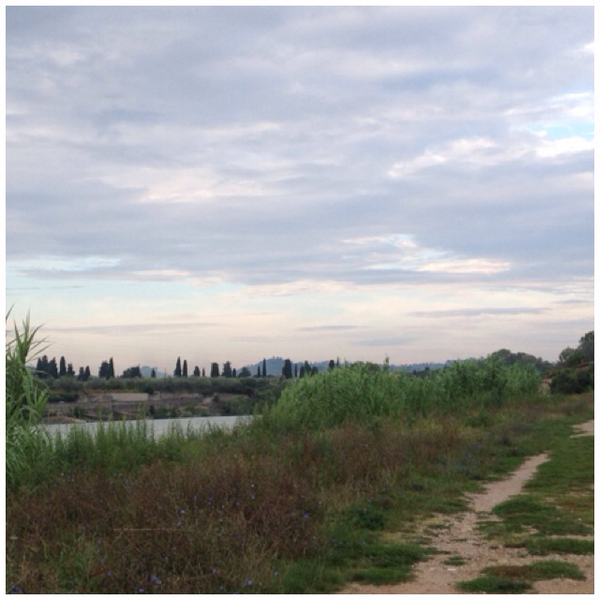 kwoo86's tweet photo. #2sixpoints2 @ nikechicago I just ran 20.0 mi with Nike+. http://t.co/00sKyjIKOV #nikeplus http://t.co/O1NLMkQZao