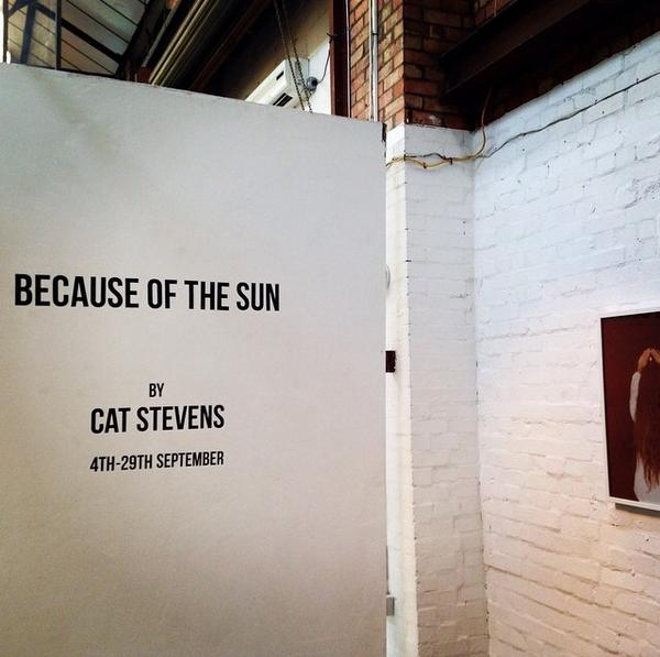 Perusing @CatStevensPhoto incredible photos over coffee this morning at @StourSpace 🙌 #catstevens #becauseofthesun
