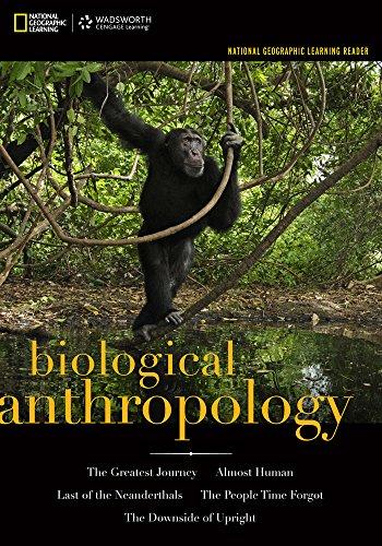 epub money ethnographic encounters encounters experience and anthropological knowledge