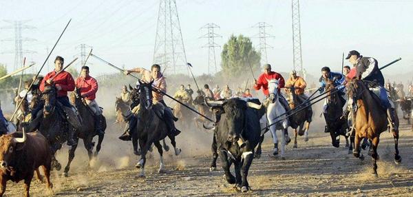 David74Sanchez's tweet photo. Marca España !!!!!! #vergüenza #STOPToroDeLaVega http://t.co/yszA4mRa4u
