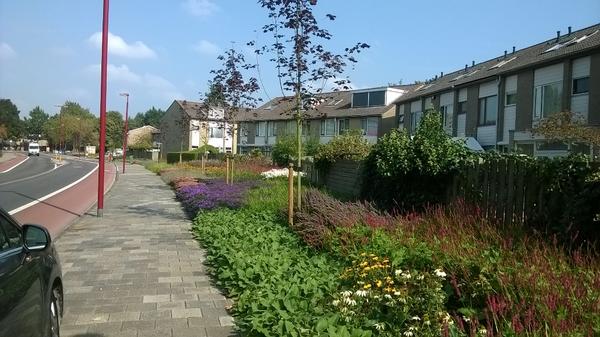 ChristiandeWit's tweet photo. Mooi plaatje in @Nieuwegein. Zou het van @BertGriffioen zijn? http://t.co/47pnDJOegS
