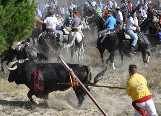 Amador_Rivas's tweet photo. Esta es la imagen que da España al resto del mundo, una vergüenza. #NoAlToroDeLaVega (Perdonad por las imágenes) http://t.co/bIYp78XNOe