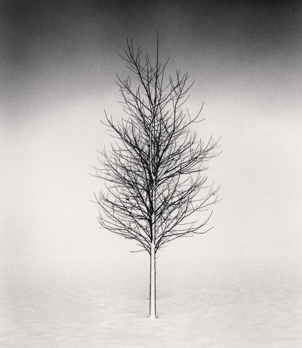 The Master of Landscape Photography: Michael Kenna  j.mp/1woInJ2  via @photoffice RT @brasonja