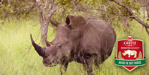CastleLagerSA's tweet photo. We're on a journey to DNA tag every rhino. Add your support by donating your social reach http://t.co/1KOGC69rfG http://t.co/6wpNnZAg2m