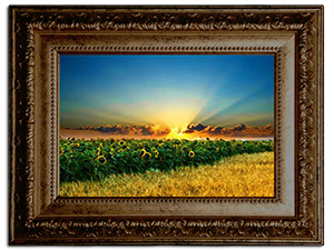 4inrug's tweet photo. our nature #rugs http://t.co/3YQe9keTge