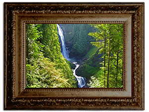 4inrug's tweet photo. our nature #rugs http://t.co/3YQe9keTge