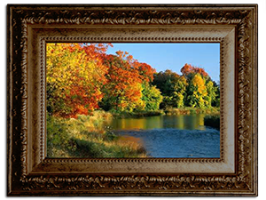 4inrug's tweet photo. our nature #rugs http://t.co/3YQe9keTge