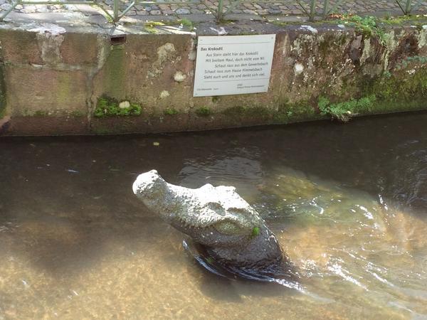 Lapi_Daria's tweet photo. Ehm... I found a crocodile #smashingconf http://t.co/BGXKXdE1Ka