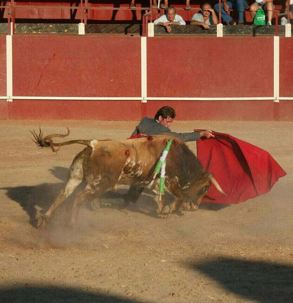 DavidSanchezTo5's tweet photo. en mi prueblo de vilches este año 2 orejas y un rabo una tarde importante con mis compañeros luis olmo Daniel garcia http://t.co/Ek1WgVb7t9