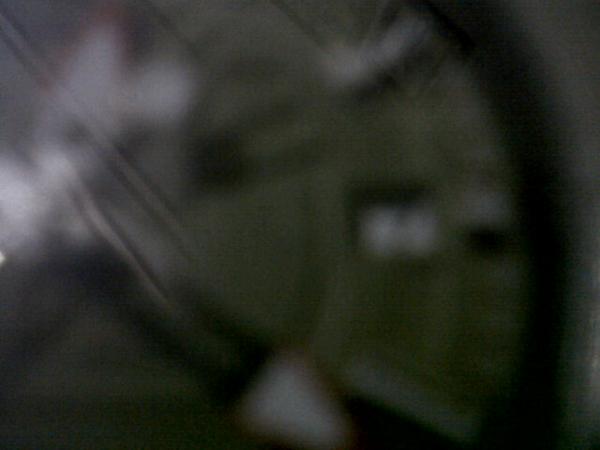 launkk's tweet image. @nienow_noel angka 17. #highqualitycamera #camera260