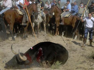 _CASD_'s tweet photo. Esta es la imagen que da España al resto del mundo, una vergüenza. #NoAlToroDeLaVega http://t.co/WphQJWNnXx