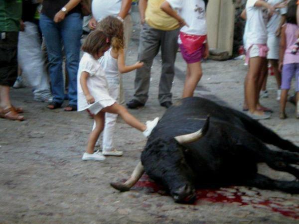 _CASD_'s tweet photo. Esta es la imagen que da España al resto del mundo, una vergüenza. #NoAlToroDeLaVega http://t.co/WphQJWNnXx
