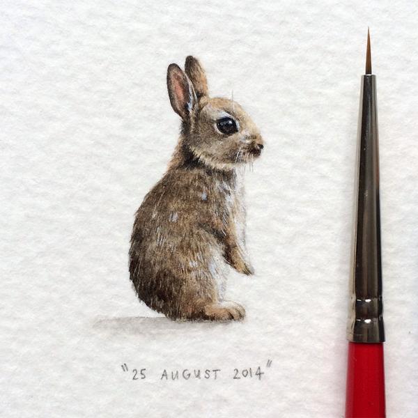 thisiscolossal's tweet image. Postcards for Ants: A 365-Day Miniature Painting Project by Lorraine Loots. SO TINY!  thisiscolossal.com/2014/09/postca…