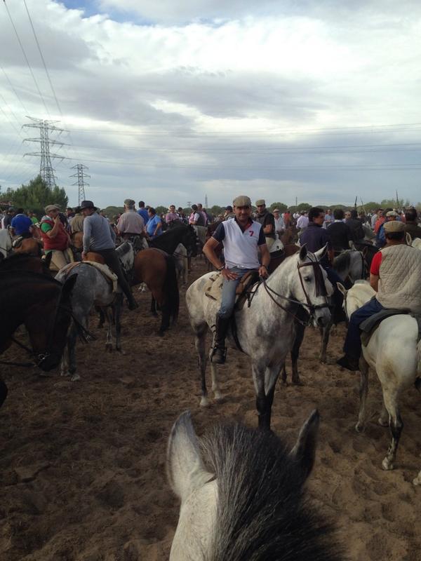 davidmorella1's tweet photo. Tordesillas algo inexplicable buenos encierros, buena gente y sobre todo buena compañia http://t.co/nAzKJ16ecc