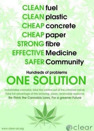 Re-think the leaf! Educate yourself on the countless benefits of the cannabis plant!Spread the word!End stereotypes🌱
