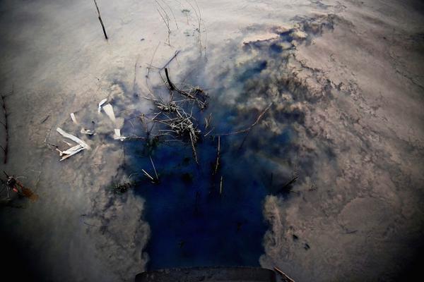 Krug Studios tweet media