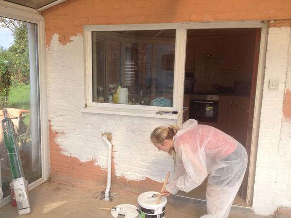 SomersetEV's tweet image. #fromthis - one of our new volunteers, Bryony getting stuck in!