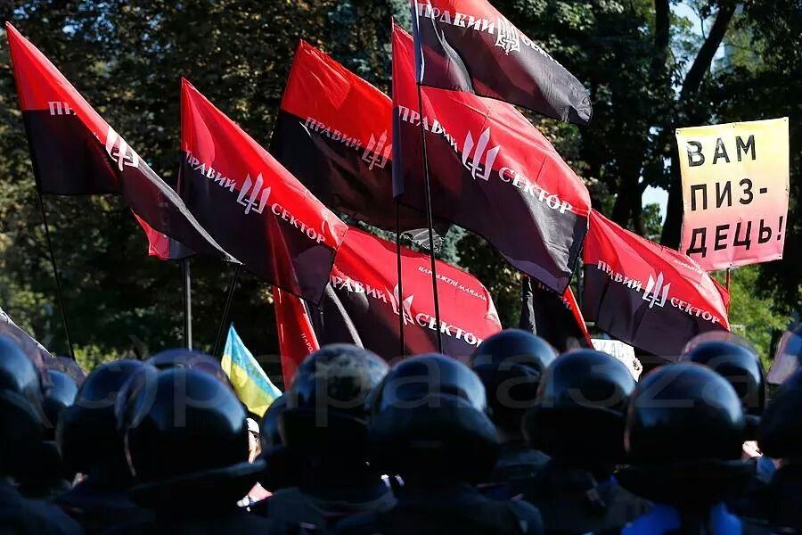 "ЛНР - это прекрасно", - экс-"регионал", нардеп Струк возле ЦИК в Киеве - Цензор.НЕТ 7827