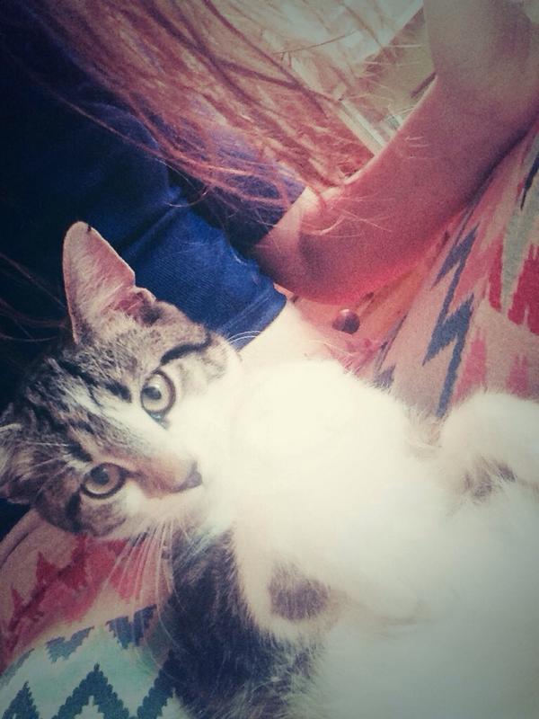 thickacrylic's tweet image. Tweet me bc cat @OverloadMusic #XFactor2014BoybandOverload