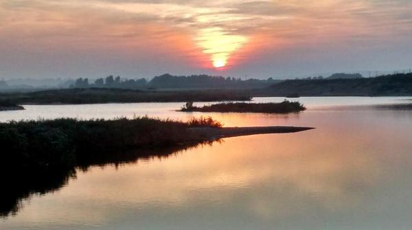 GreatDixter's tweet image. Rye Harbour nature reserve...