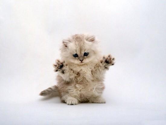 Da_HoMan's tweet photo. So fucking ferocious http://t.co/3irp2fAeJN