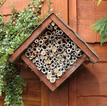 Red de wilde bij: IVN Limburg helpt scholen met het maken van een  #bijenhotel. Interesse? Contacteer @IVNLimburg