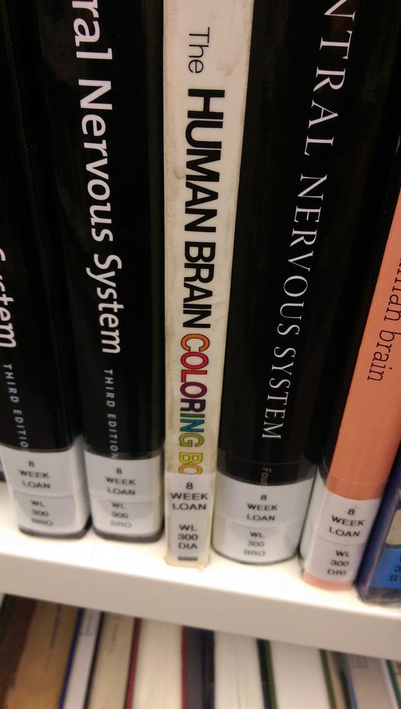 CaptainDavidoff's tweet image. Least appropriate book for a library to waste it's money on #SingleUseOnly