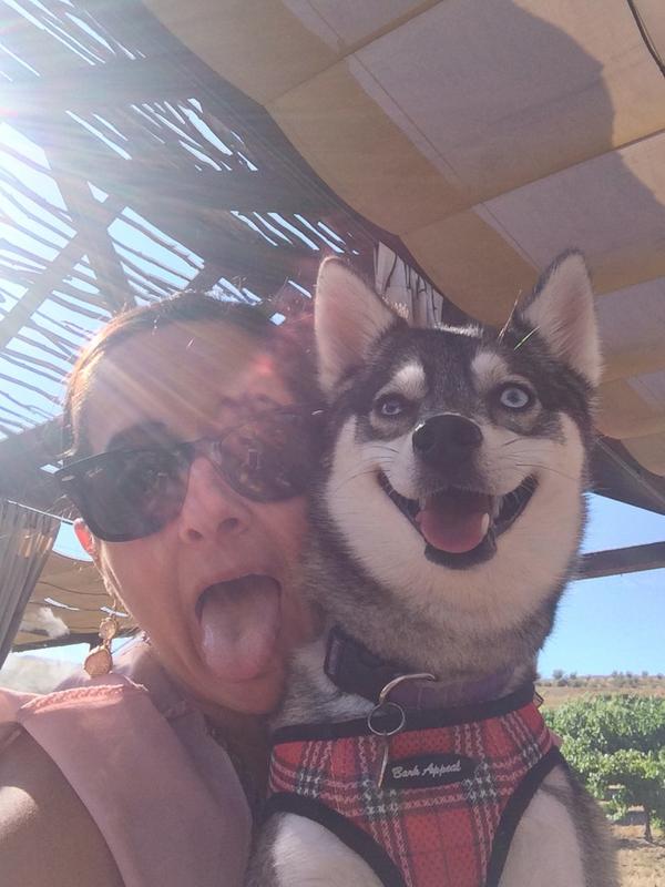 Kellie hill tweet media