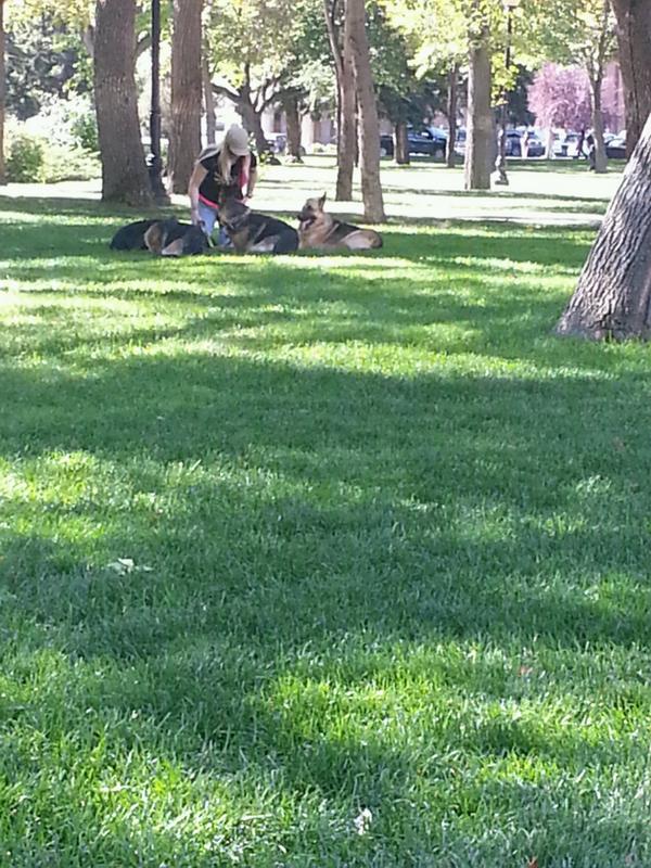 Lee Charko tweet media