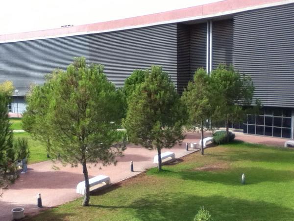 lauriitaxuly's tweet image. My University #PabloOlavide