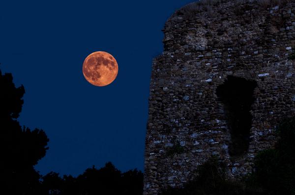 photosontheroad's tweet photo. Harvest moon 2014
And last super moon of the year. Torre Caleo close to the fishermen village of  #Acciaroli. http://t.co/go9tUw4XSG
