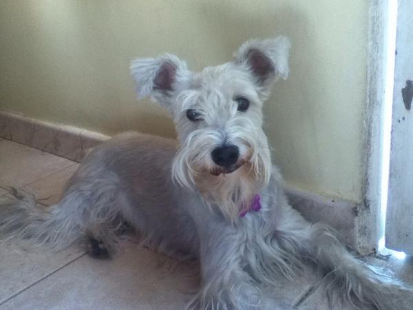 LLindate's tweet image. Kira