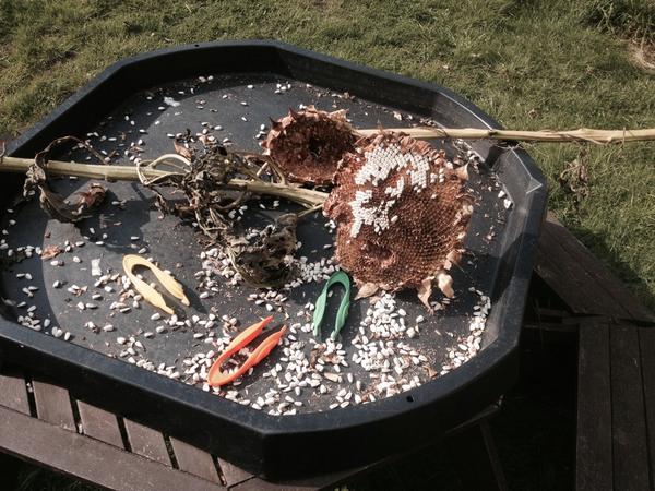 Promoting fine manipulative skills #eyfs #preschool