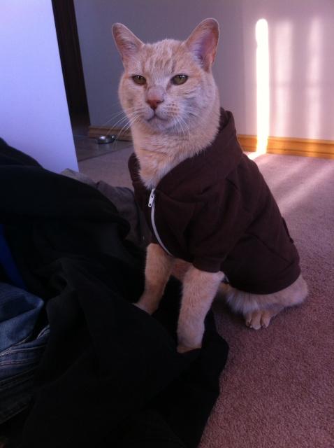 I got into da #InternetParty visionaries wardrobe todayez:

#InternetMANA