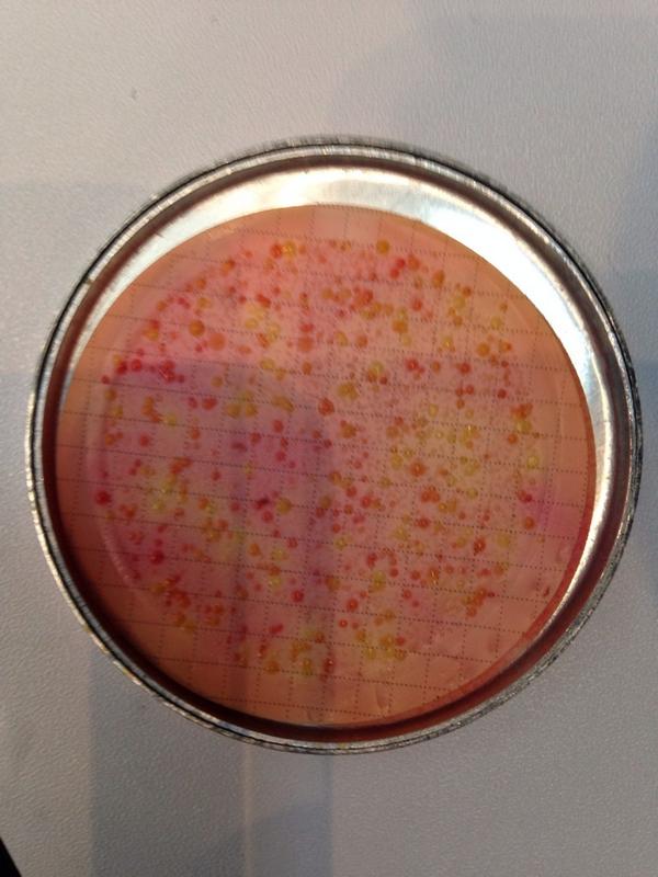 Palintest's tweet photo. Good morning Vietnam @ #37WEDC Come and see our faecal coliforms on stand 16. #waterqualitytesting #PalintestProcess http://t.co/GHTWwQAHaC