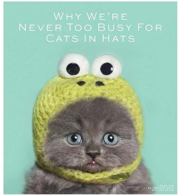 DebSimon2's tweet image. 