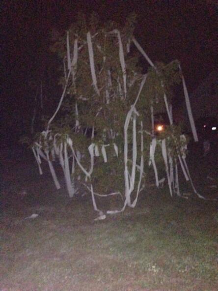 ERTPwar's tweet image. Earliest award goes to seniors! @colinlea12